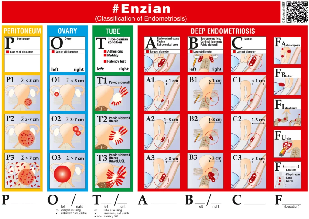 Como engrosar el endometrio